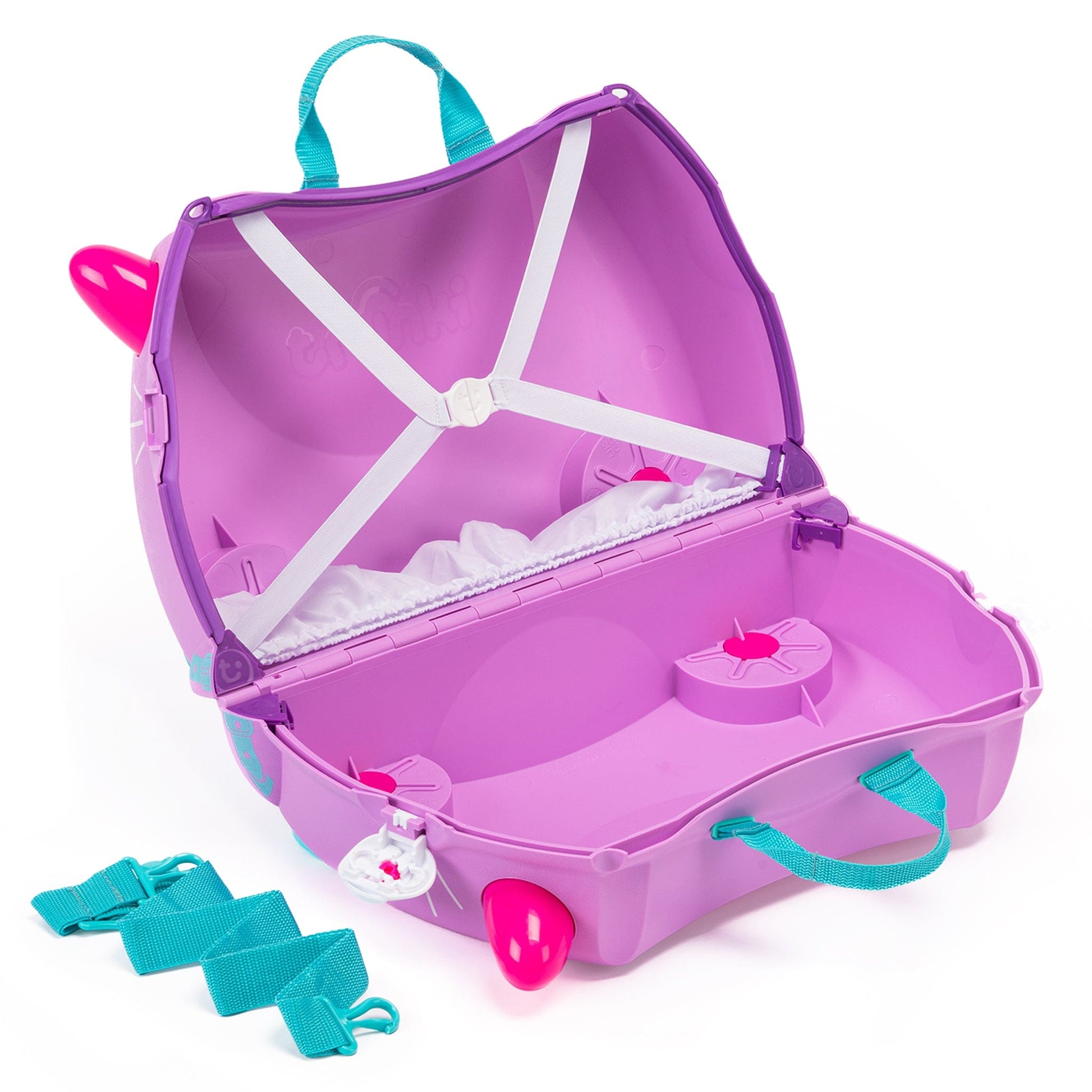 Cassie-the-Cat-Trunki-Image2